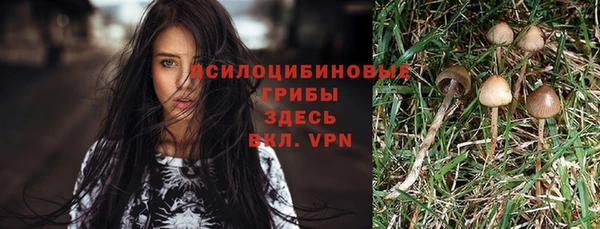 ALPHA-PVP Покров