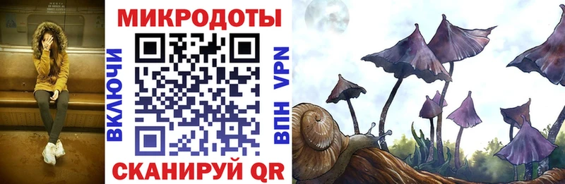 Псилоцибиновые грибы GOLDEN TEACHER Октябрьск
